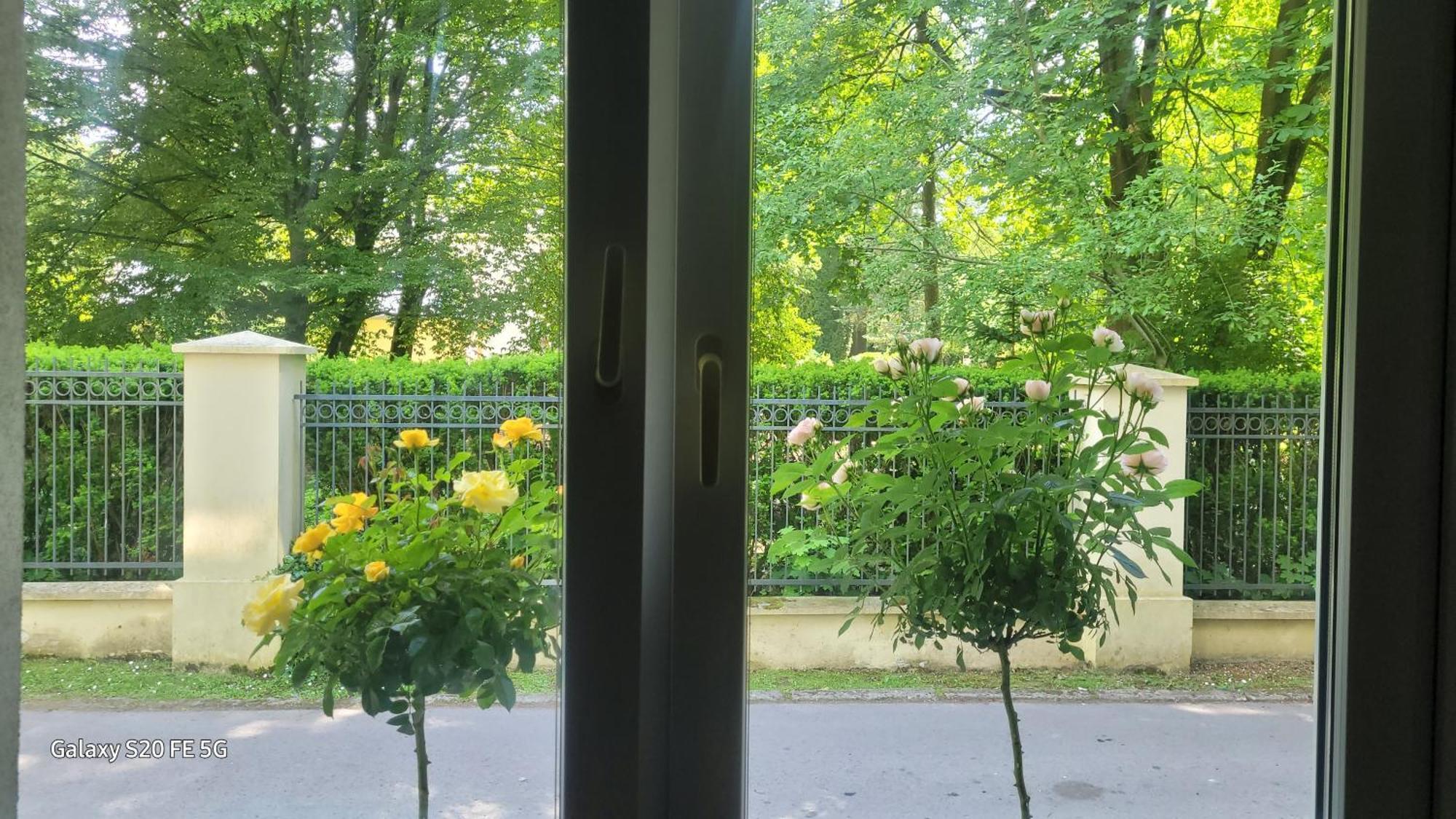Apartament Przy Parku Naleczow Exterior foto